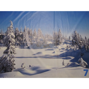 Landschapsdoek winter bergland (7)