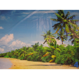 Landschapsdoek zomer strand (4)