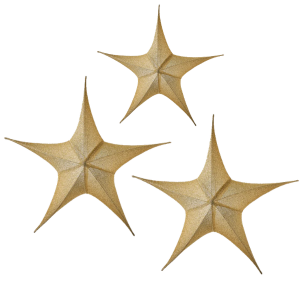 Kerststerren set goud